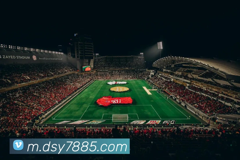 大三元官网平台登录平台生态图