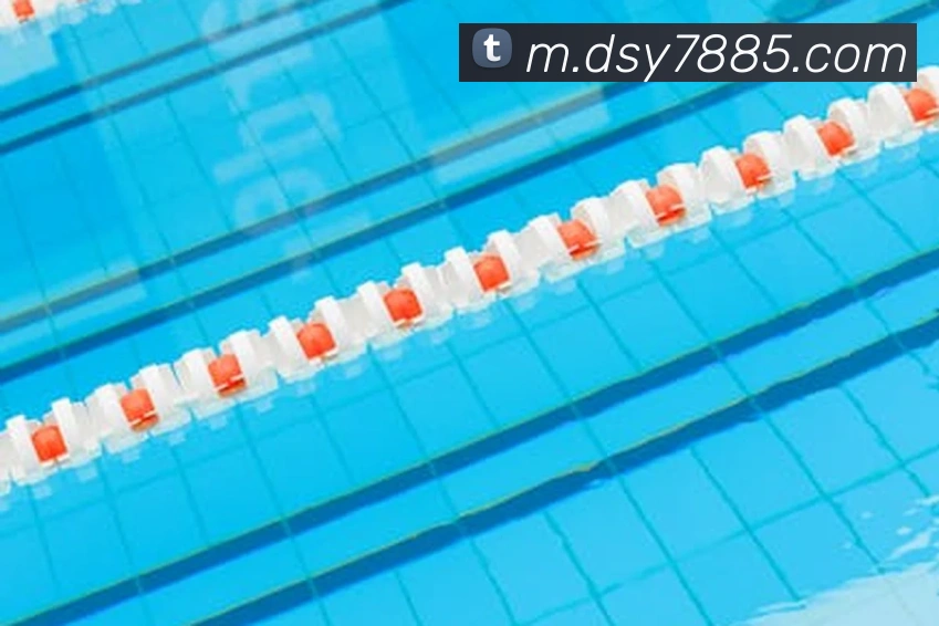 大三元官网平台登录全站App